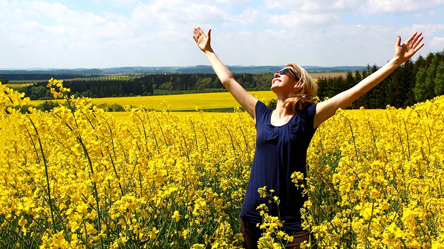 I benefici della gratitudine